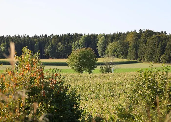Birkenhaeusle Trautmannshofen