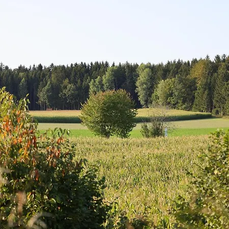 Birkenhaeusle Trautmannshofen